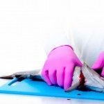 Curso de Manipulacdor de Alimentos e Higienen Alimentaria Ibiza Dektabiza Academia Delta Pacha Knowledge1